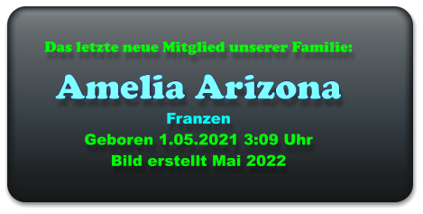 Das letzte neue Mitglied unserer Familie:   Amelia Arizona Franzen  Geboren 1.05.2021 3:09 Uhr   Bild erstellt Mai 2022